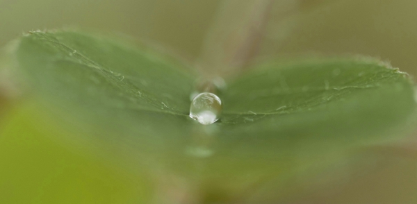 CameralibraLubbeek_Vanhoegaerden_Eddy